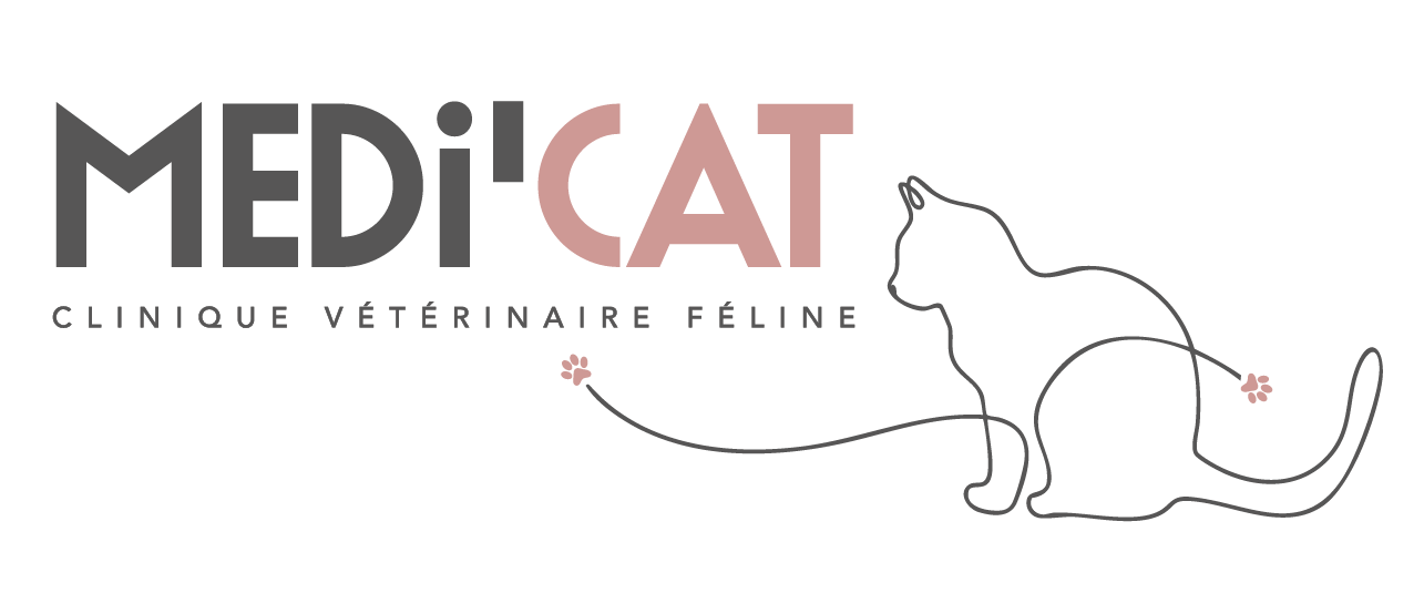 logotype